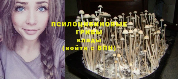 прущая мука Алексеевка