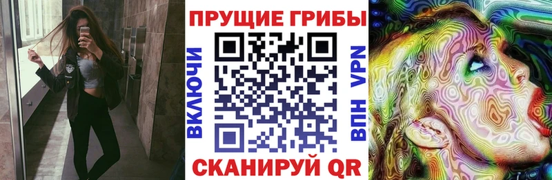 Псилоцибиновые грибы прущие грибы Чадан